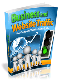 Business Website Traffic