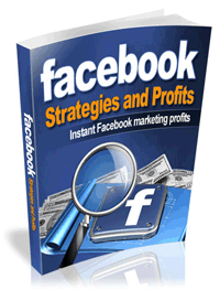 Facebook Strategies Profits