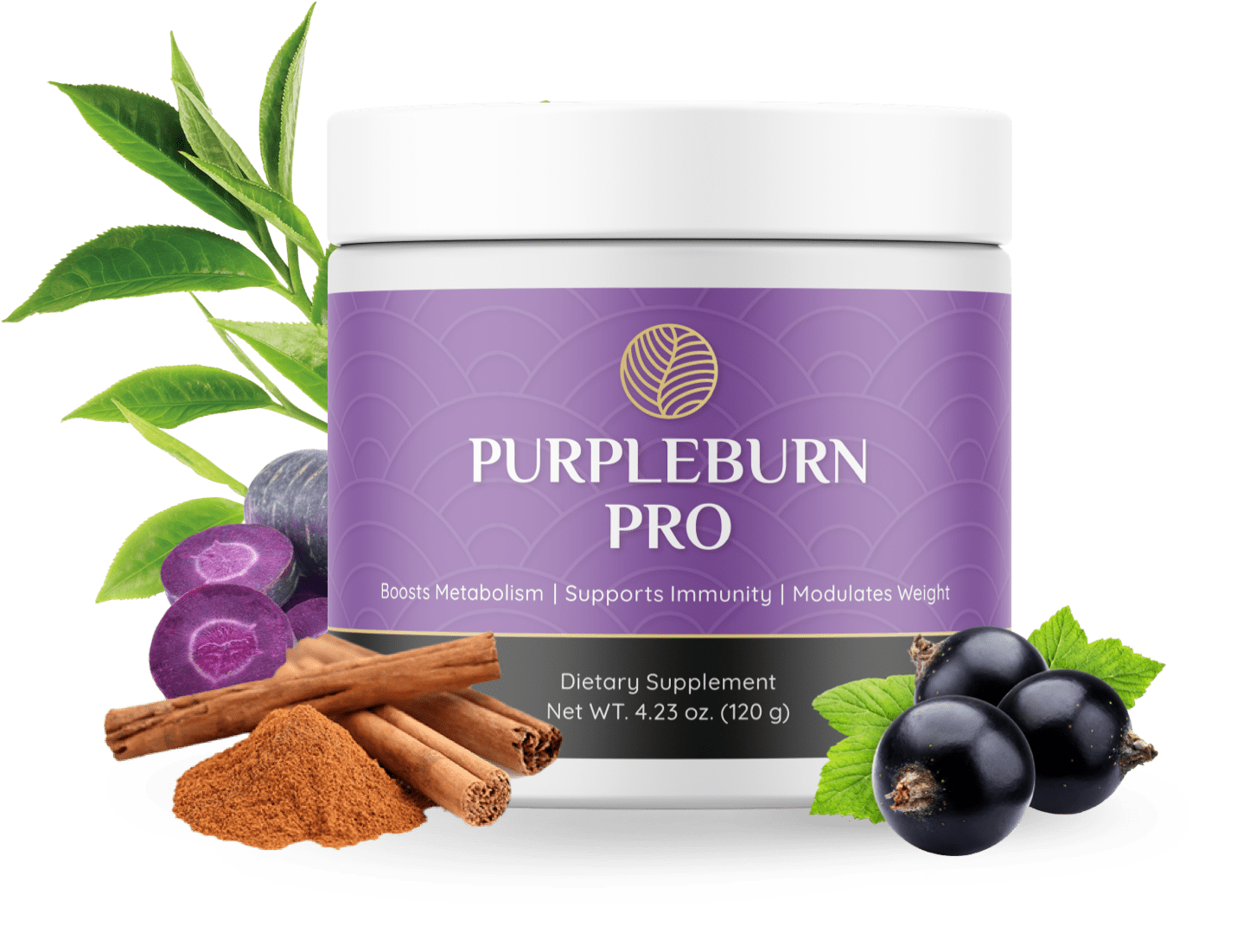 Fat Burner Supplement - PurpleBurn Pro
