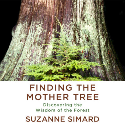 Finding the Mother Tree: Discovering the Wisdom of the Forest (Unabridged)