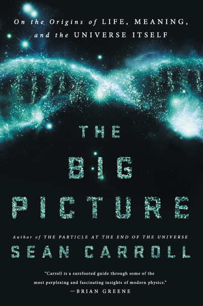 The Big Picture: On the Origins of Life Meaning and the Universe Itself (Unabridged)
