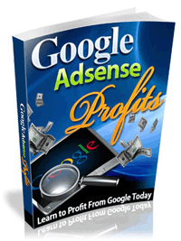 Google AdSense Profits